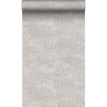 carta da parati pietra naturale con effetto craquelé grigio chiaro