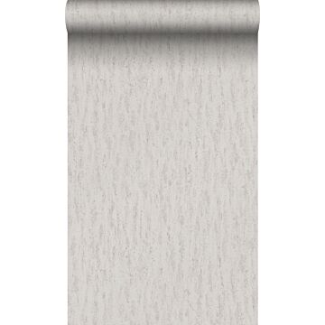 carta da parati pietra naturale calcare in travertino grigio talpa chiaro